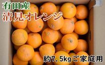 【濃厚】有田産清見オレンジ約7.5kg(サイズおまかせ、または混合)ご家庭用★2025年2月上旬頃より順次発送【TM46】