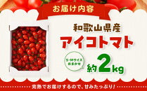 ［3月出荷分］和歌山産ミニトマト「アイコトマト」約2kg（S・Mサイズおまかせ）［TM123］