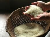 信楽町多羅尾のお米で作った、お米クラフトタラオビア／TaraoBeer　6本