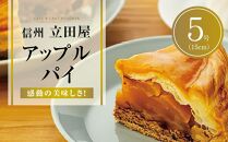 お菓子 焼菓子 アップルパイ 5号 ( 約15cm ) 1台 信州 立田屋