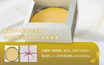お菓子 ケーキ チーズケーキ 1台 ( 約15cm ) 立田屋