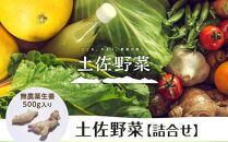 【土佐野菜】野菜の詰め合わせと無農薬生姜500g付き