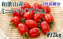 【2023年2月出荷分】和歌山産ミニトマト「アイコトマト」約2kg（S・Mサイズおまかせ）
