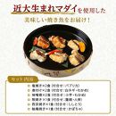 レンジで簡単！近大生まれマダイ惣菜詰合せ（9食）【KD2】