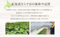 【先行予約】北海道「赤肉メロン」L玉×2個（2024年7月中旬発送開始予定）_00112