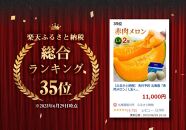 【25年発送先行予約】北海道「赤肉メロン」L玉×2個（2025年7月中旬発送開始予定）【 果物 くだもの フルーツ メロン 赤肉 赤肉メロン 旬 お取り寄せ 甘い 北海道産 旭川市 北海道 送料無料 】_00112