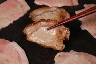 広島県産瀬戸内豚ロースたれづけ味くらべセット