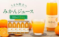 うまみ際立つ　みかんジュース500ml_5本入