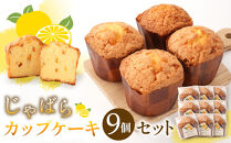 じゃばらカップケーキ9個入  [Pn4]