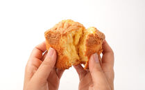 じゃばらカップケーキ9個入&nbsp;&nbsp;[Pn4]