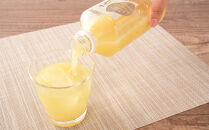 じゃばら果汁500ｇｘ2本セット  [Pn6]