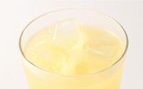 じゃばら果汁500ｇｘ2本セット  [Pn6]