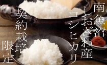 【令和7年産】契約栽培限定&nbsp;南魚沼しおざわ産コシヒカリ10Kg