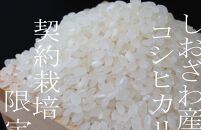 【令和7年産】契約栽培限定&nbsp;南魚沼しおざわ産コシヒカリ10Kg