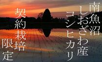 【令和7年産】【定期便】契約栽培限定&nbsp;契約栽培&nbsp;南魚沼しおざわ産コシヒカリ２Kg×12ヶ月