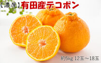 ［お味濃厚］紀州有田産の大玉デコポン約5kg(12玉～18玉入り・青秀以上) ★2026年１月中旬頃より順次発送［TM25］