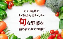 「ベジーズ館」の夏・冬野菜　年２回コース （7月と12月発送）
