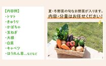 「ベジーズ館」の夏・冬野菜　年２回コース （7月と12月発送）