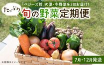 「ベジーズ館」の夏・冬野菜　年２回コース （7月と12月発送）【たっぷりセット】