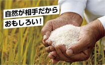 【新米発送】「無地のし」 令和6年産 新潟県 南魚沼産 コシヒカリ お米 2kg 精米済み（お米の美味しい炊き方ガイド付き） お米 こめ 白米 新米 こしひかり 食品 人気 おすすめ 送料無料 魚沼 南魚沼 南魚沼市 新潟県産 新潟県 精米 産直 産地直送 お取り寄せ