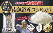 【新米発送】 無地のし 「無洗米」 令和6年産 新潟県 南魚沼産 コシヒカリ お米 5kg 精米済み（お米の美味しい炊き方ガイド付き） お米 こめ 白米 新米 こしひかり 食品 人気 おすすめ 送料無料 魚沼 南魚沼 南魚沼市 新潟県産 新潟県 精米 産直 産地直送 お取り寄せ