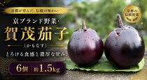 京ブランド野菜・賀茂茄子（かもなす）&nbsp;6個&nbsp;約1.5kg&nbsp;|京都&nbsp;野菜&nbsp;人気セット［&nbsp;京都&nbsp;野菜&nbsp;賀茂&nbsp;茄子&nbsp;なす&nbsp;ご当地&nbsp;人気&nbsp;おすすめ&nbsp;定番&nbsp;セット&nbsp;おいしい&nbsp;ご自宅用&nbsp;お取り寄せ&nbsp;通販&nbsp;送料無料&nbsp;ふるさと納税&nbsp;］