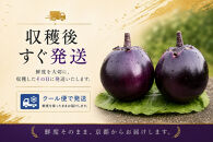 京ブランド野菜・賀茂茄子（かもなす）&nbsp;6個&nbsp;約1.5kg&nbsp;|京都&nbsp;野菜&nbsp;人気セット［&nbsp;京都&nbsp;野菜&nbsp;賀茂&nbsp;茄子&nbsp;なす&nbsp;ご当地&nbsp;人気&nbsp;おすすめ&nbsp;定番&nbsp;セット&nbsp;おいしい&nbsp;ご自宅用&nbsp;お取り寄せ&nbsp;通販&nbsp;送料無料&nbsp;ふるさと納税&nbsp;］