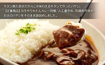 牛タンハヤシ & 牛タンカレー 惣菜 セット ( ハヤシ200g × 5袋 & カレー試食用100g ) 牛タン焼たあ坊