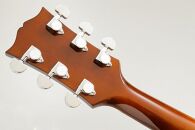 【ギター】S.Tsuji　P-1 Model《南砺の逸品》