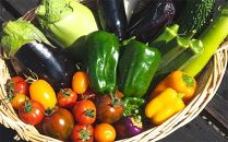 【2024年7月～3回便】★低農薬使用★旬な新鮮野菜直送！