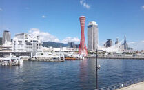 【神戸タータン】シルクプリントネクタイ