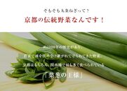 【こと京都】九条ねぎカット食べ比べセット（鍋仕様）