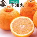 ＜4月発送＞厳選 不知火4kg+120g（傷み補償分）【デコポンと同品種】