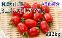 【2023年3月出荷分】和歌山産ミニトマト「アイコトマト」約2kg（S・Mサイズおまかせ）