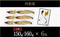 鹿児島県大隅産　千歳鰻の白焼鰻　6尾