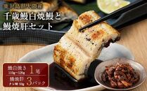鹿児島県大隅産　千歳鰻の白焼鰻　1尾・鰻焼肝セット