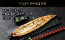 鹿児島県大隅産　千歳鰻の白焼鰻　2尾・鰻焼肝セット