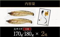 鹿児島県大隅産　千歳鰻の白焼鰻「大」2尾