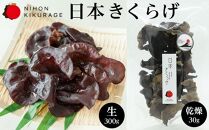 特選 きくらげ【富士ヶ嶺】-生(300ｇ)【富士山】-乾燥(30g）