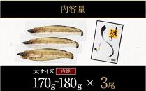 鹿児島県大隅産　千歳鰻の白焼鰻「大」3尾