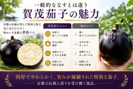 京ブランド野菜・賀茂茄子（かもなす）12個&nbsp;約3kg&nbsp;|京都&nbsp;野菜&nbsp;人気セット［&nbsp;京都&nbsp;野菜&nbsp;賀茂&nbsp;茄子&nbsp;なす&nbsp;ご当地&nbsp;人気&nbsp;おすすめ&nbsp;定番&nbsp;セット&nbsp;おいしい&nbsp;ご自宅用&nbsp;お取り寄せ&nbsp;通販&nbsp;送料無料&nbsp;ふるさと納税&nbsp;］