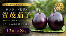 京ブランド野菜・賀茂茄子（かもなす）12個&nbsp;約3kg&nbsp;|京都&nbsp;野菜&nbsp;人気セット［&nbsp;京都&nbsp;野菜&nbsp;賀茂&nbsp;茄子&nbsp;なす&nbsp;ご当地&nbsp;人気&nbsp;おすすめ&nbsp;定番&nbsp;セット&nbsp;おいしい&nbsp;ご自宅用&nbsp;お取り寄せ&nbsp;通販&nbsp;送料無料&nbsp;ふるさと納税&nbsp;］