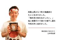 【お試し・無添加梅干し】梅干し（天日塩漬け、紫蘇漬け 各280g×1パック）、白梅酢1本セット ／ 南高梅　A-206