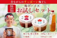 【お試し・無添加梅干し】梅干し（天日塩漬け、紫蘇漬け 各280g×1パック）、白梅酢1本セット ／ 南高梅　A-403