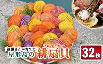 後藤さんが育てた屋形島の緋扇貝（ひおうぎがい）32枚