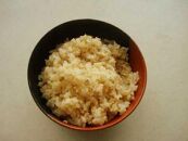 野口勘右衛門のお米  『食べ比べセット』安心栽培米（コシヒカリ）玄米食最適米（ミルキークイーン）玄米5kg×2