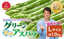 【2026年先行予約】夏収穫グリーンアスパラ Lサイズ 1kg（2026年7月上旬から発送開始予定）【 アスパラ アスパラガス 朝採り とれたて 野菜 旬 小分け 保存 産直 産地直送 お取り寄せ 旭川市 北海道 】_00414