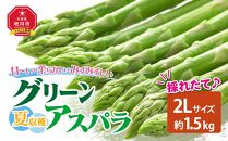 【先行予約】夏収穫グリーンアスパラ 2Lサイズ 1.5kg（2025年7月下旬～発送開始予定）【 アスパラ アスパラガス 朝採り とれたて 野菜 旬 小分け 保存 産直 産地直送 お取り寄せ 旭川市 北海道 送料無料 】_00415