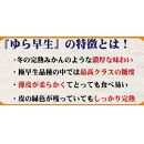 濃厚な味わい ゆら早生みかん約7kg 希少品種《有機質肥料100％》【2024年10月より順次発送】