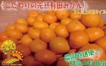 ＼農家直送／こだわりの大玉有田みかん 3Lサイズ以上約10kg【2024年12月より順次発送】